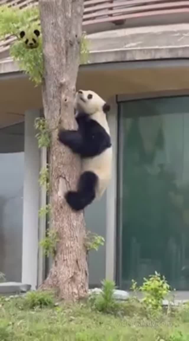 Спецназ !!! 😅