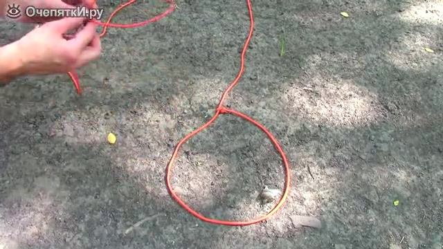 Пятёрка хороших ловушек для добычи