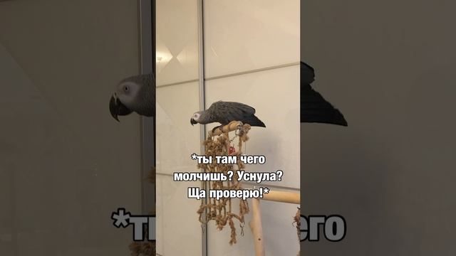 Валера орел и немножко педиатр😂