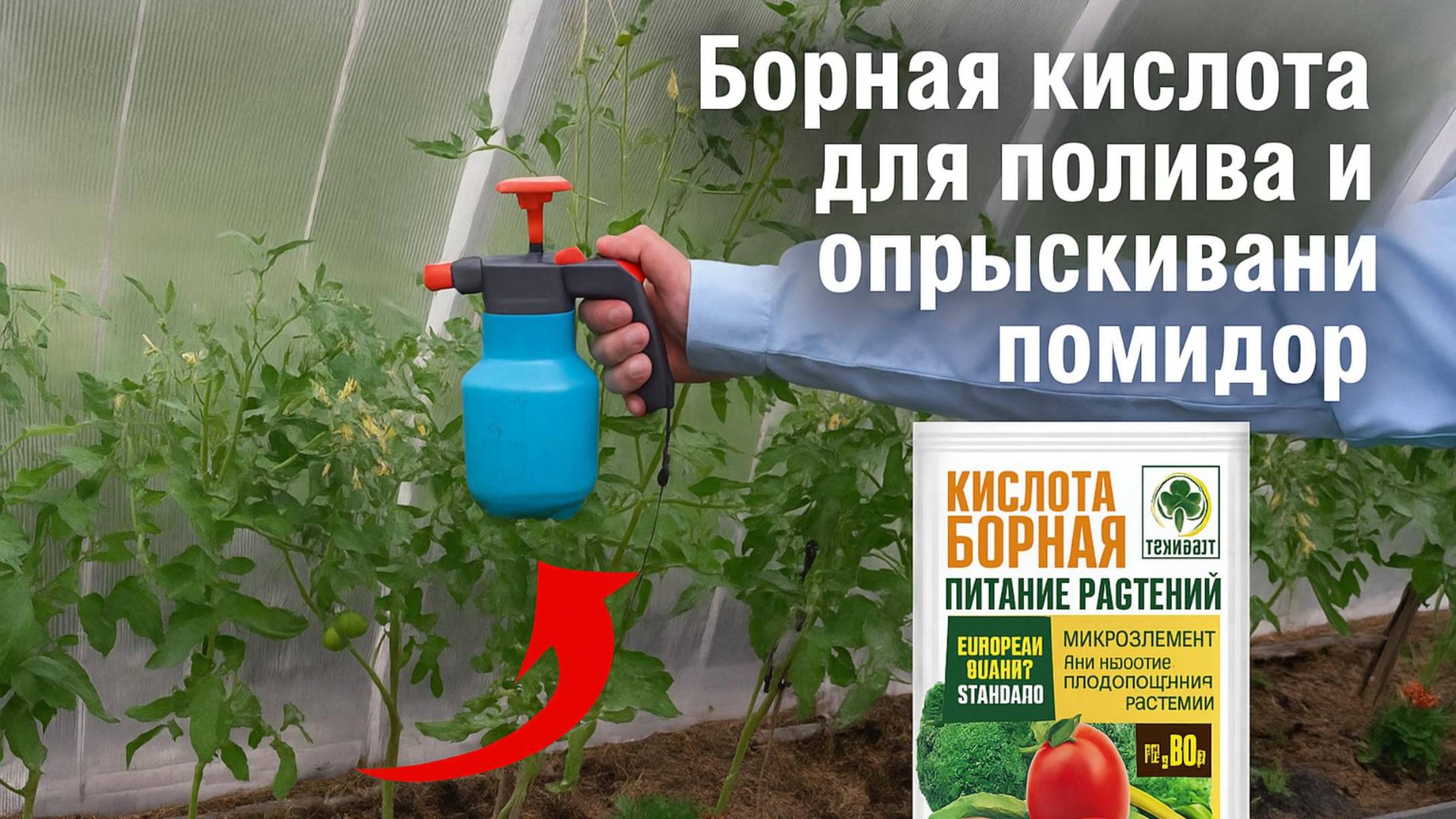 ЧЕМ ПОЛИТЬ ПОМИДОРЫ ДЛЯ ЗАВЯЗИ. ЧТОБ НЕ ОПАДАЛА ЗАВЯЗЬ. ОБРАБОТКА ПОМИДОР - СУПЕР СРЕДСТВО!