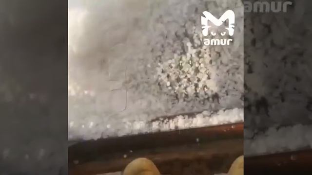 VID-20250617-WA0010грал на Дальнем Востоке