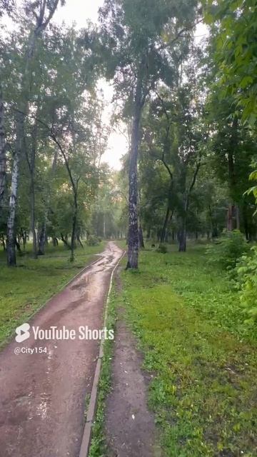 Новосибирск Парк Березовая роща Дзержинский район Лето Сибирь Жилье Недвижимость Сити154 City154 НСК