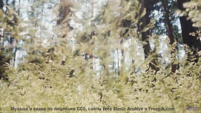 Видео, созданное нейросетью - вы не отличите от реальности! - tribute to eddy -- Jean Toba -- a land