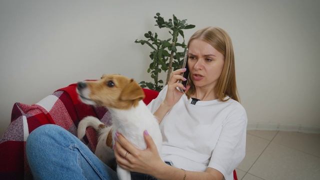 Снять легко, сдать выгодно — особенно с питомцем!