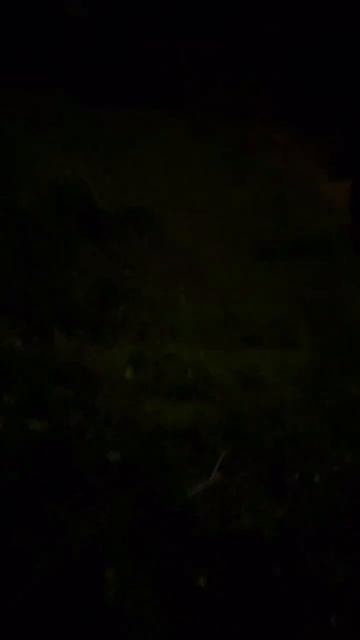 Салют на нашей свадьбе 😍