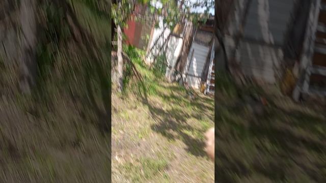 Ещё одно видео с картой Евакаией