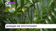 Во Владивостоке специалисты приступили к уборке дорог и расчистке тротуаров после дождя