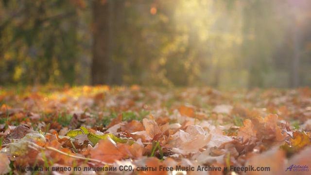 Эта композиция создана квантовой запутанностью - услышьте связь всего со всем! - Lala -- Ketsa -- Co