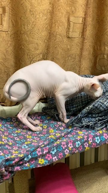 22 декабря 2023 г.