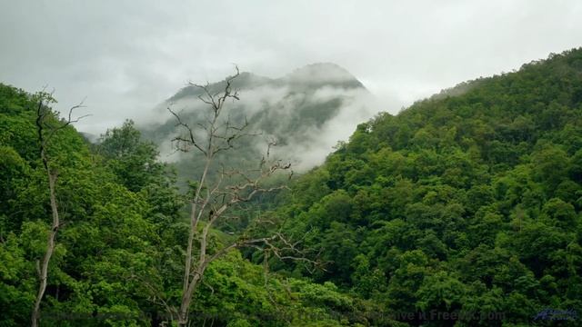 Пейзажи и музыка вместе дарят личный космос - Agonizar (XXXI) -- opo -- Estudios Indigeniformes