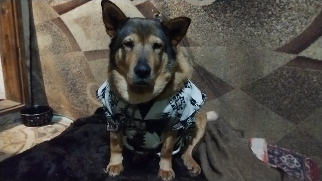 28.04.2024 г Злата