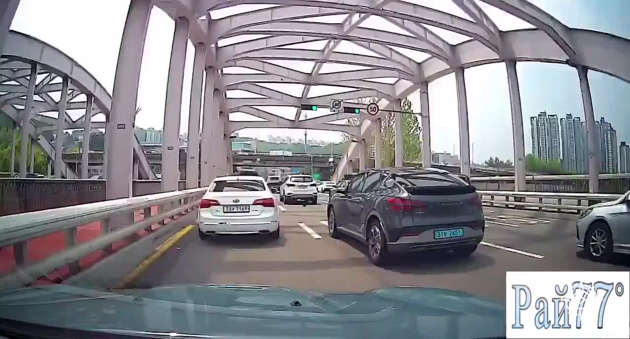 Кореянка спасла котёнка, вытащив его из-под колёс автомобилей
