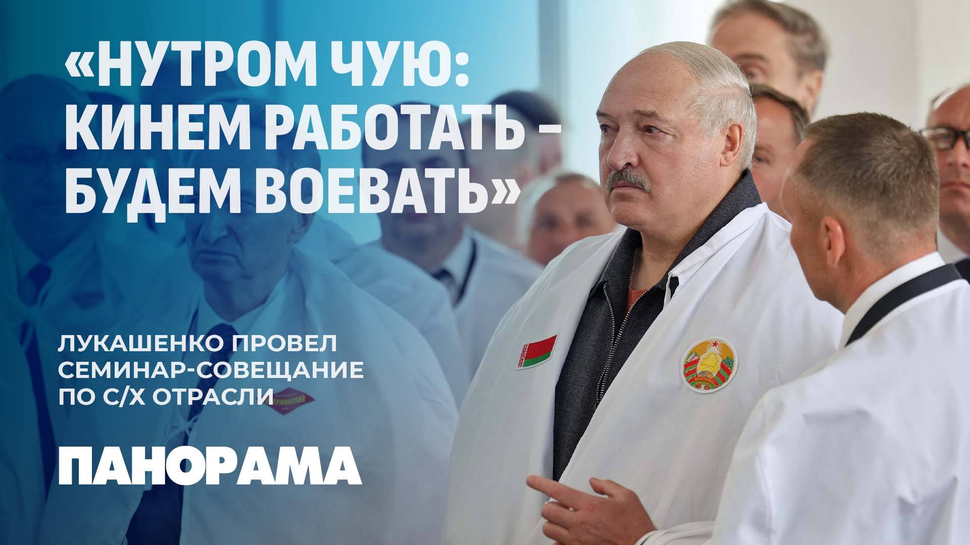 Лукашенко: молодежь думала, что картошка растет в интернете. Оказалось, она растет в поле. Панорама