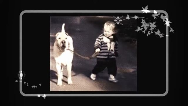 Личность (из серии "Кто в доме хозяин?")