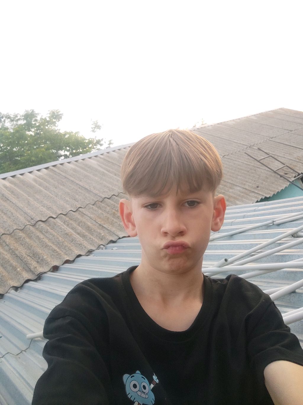 Миха паук