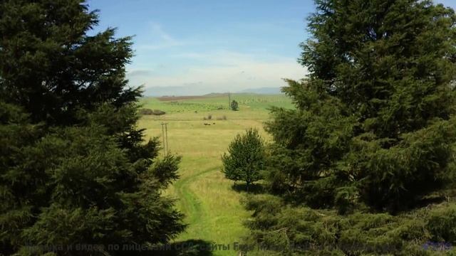 Музыка дарит эмоции, которых давно не хватало - To Meet Again (ID 606) - Remastered -- Lobo Loco --