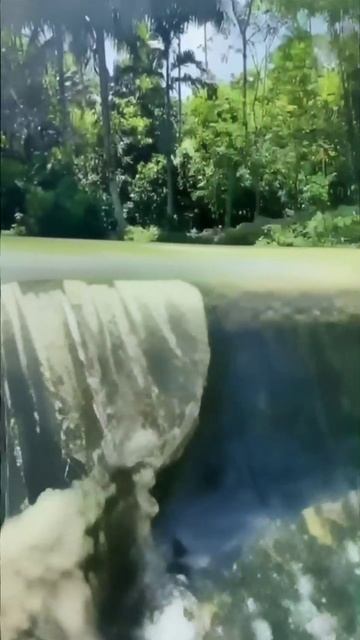 Удивительное явление на водопаде