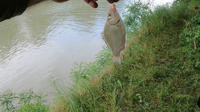 Кринжовая рыбалка