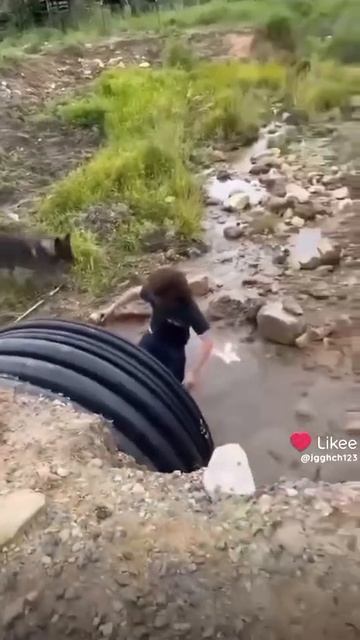 VID-20250617-WA0002