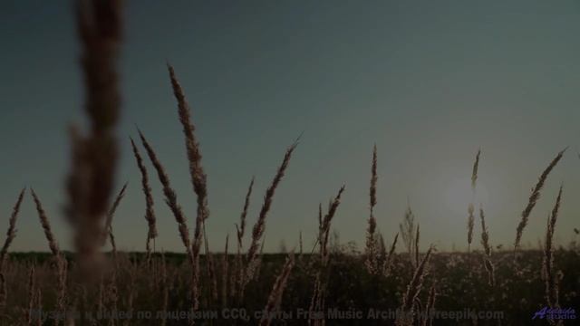 Эта музыка вдохнёт жизнь в каждый пейзаж - Here for Years -- Ketsa -- 5D