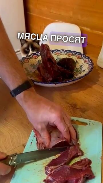 Кадры не для слабонервных: Гепард и мясо 😵