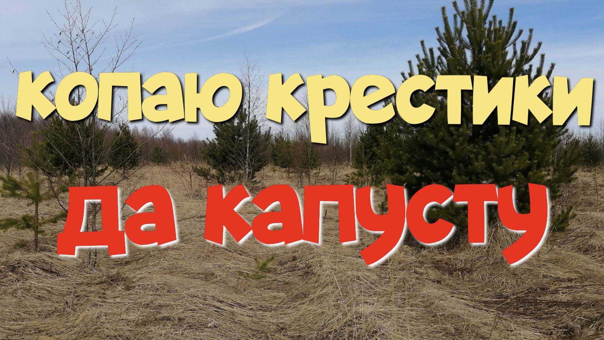 КОПАЮ КРЕСТИКИ ДА КАПУСТУ. ПОИСК СТАРИНЫ С ЭКВИНОКС 800.