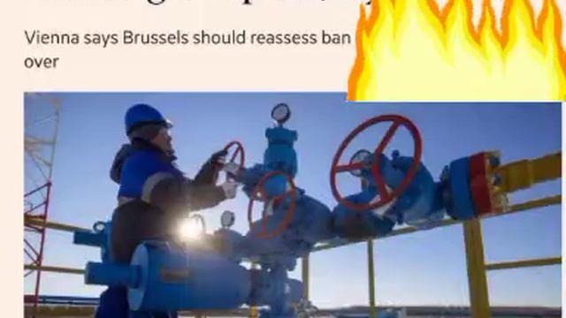 ‼️🇦🇹🇪🇺🇷🇺 Австрия призвала ЕС не закрывать двери для российского газа 

▪️Financial Times