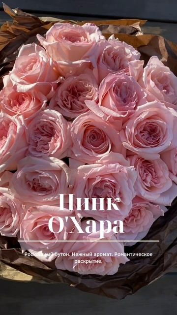 Фея розы ✿ Пинк О'Хара — букет романтических ароматных роз