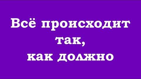 Всё происходит так, как должно #топыкатегорий