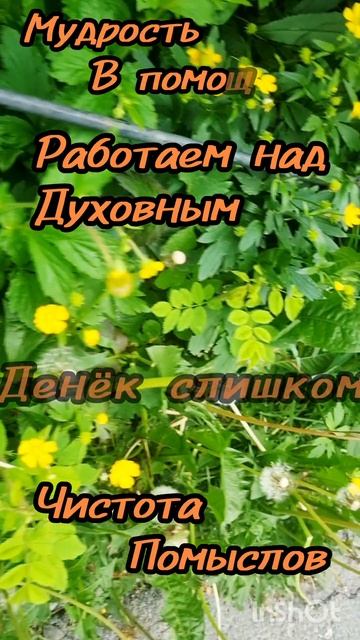 17 июня.
АСТРОЛОГИЯ ДНЯ.

Избегаем ситуаций волнения , эмоционального перенапряжения. 
(Денёк слишко