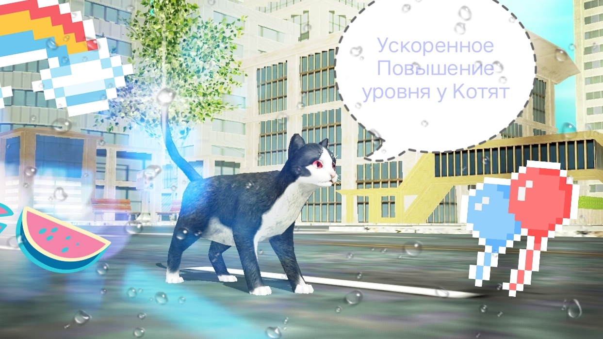 Прокачка от Котят до Взрослых котов 🐱