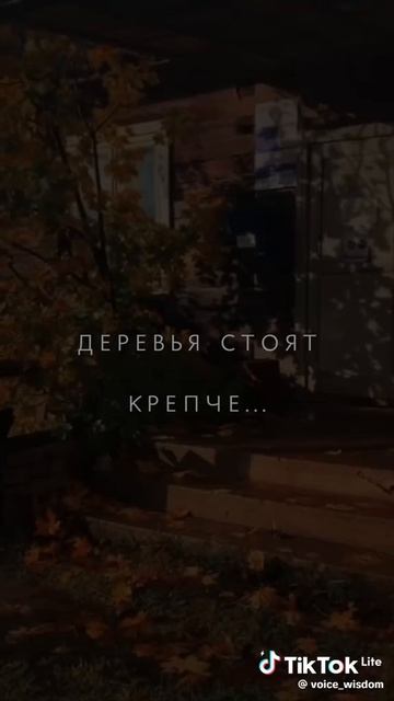 Житейское со смыслом – 3