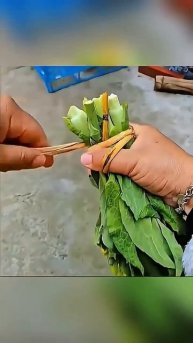 1000 летние узлы которые не знают многие