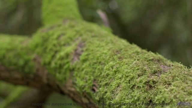 Пейзажи под этот саундтрек проникают в самую суть - Your Eyes -- Crowander -- Uplifting Funband (pop