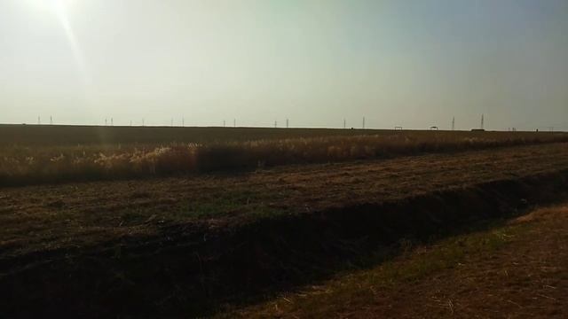 document_5373174292555001852