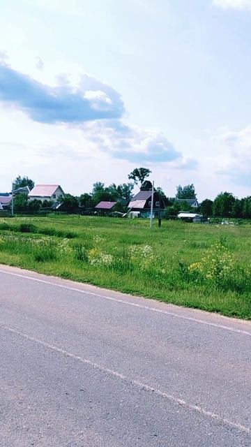 Опасно низкий перелёт аиста через дорогу 😳