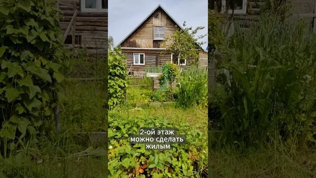 Уютный дом в Пскове с участком! 2 комн., огород, теплица #ПродажаДома #Псков #ДомСУчастком #Огород