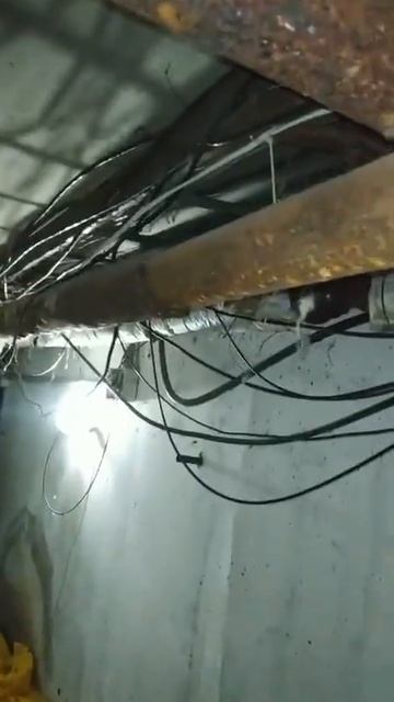 🤯Коммунальщик показал трубу холодной воды в многоэтажке, которую меняли не так давно — около 5-6 ле