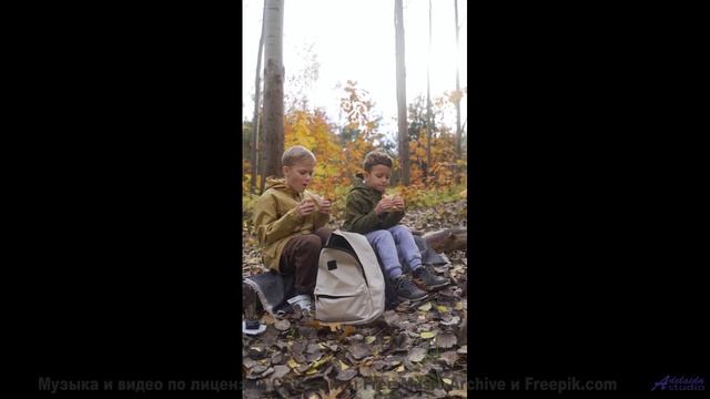 Музыка двигает облака быстрее ветра над полями - Artists -- Lolique -- Unnamed album