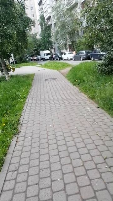 Тропки-тропиночки
