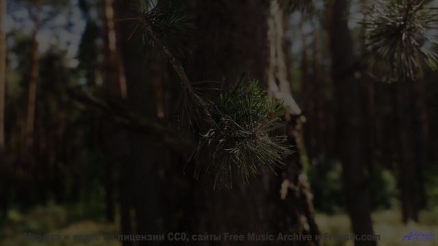 Почему этот лес НЕНАВИДИТ тишину - Repentance (Brainquake  Linn Friberg) -- PARADIGM -- The Way Forw