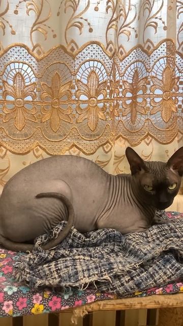 6 декабря 2024 г.