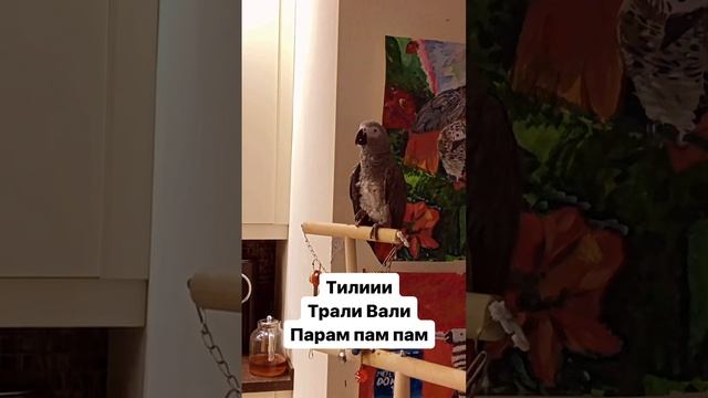 Будь здоров😁🦜