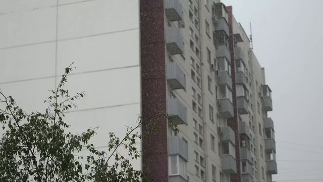 Дождь