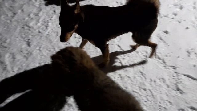 25.12.2022 г Приют.