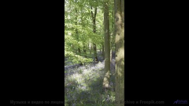 Горы, серпантин и музыка, которая круче любого двигателя! - eRHoLuNG -- Phillip Gross -- HoLiDaYS