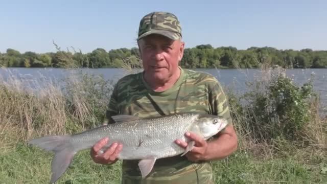 Обычная ловля на отводной. 
Но бонус классный!