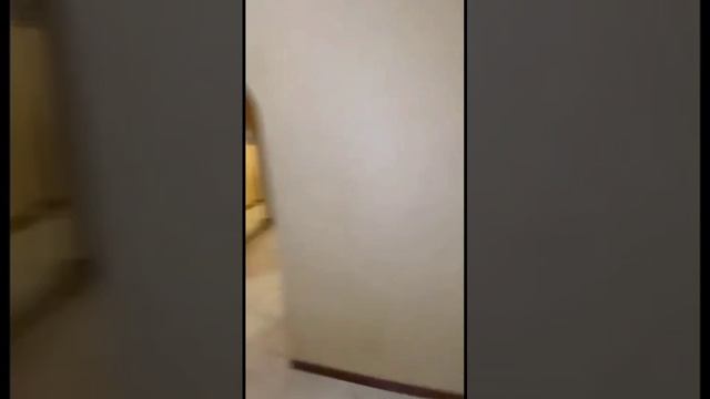 Сдам на круглый год большая 43м² 1 комнатная Ялта 10й Микро.mp4