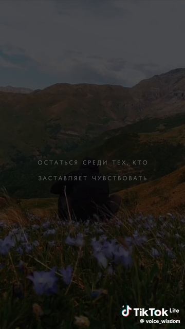 Житейское со смыслом – 15