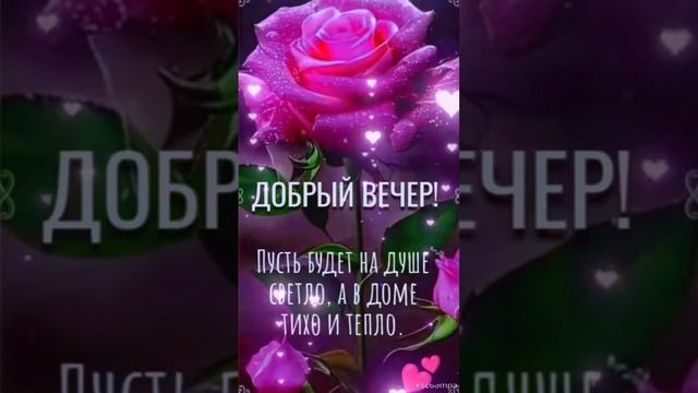 Добрый вечер💜 Хорошего Вам отдыха🌠 Прекрасного настроения 💙